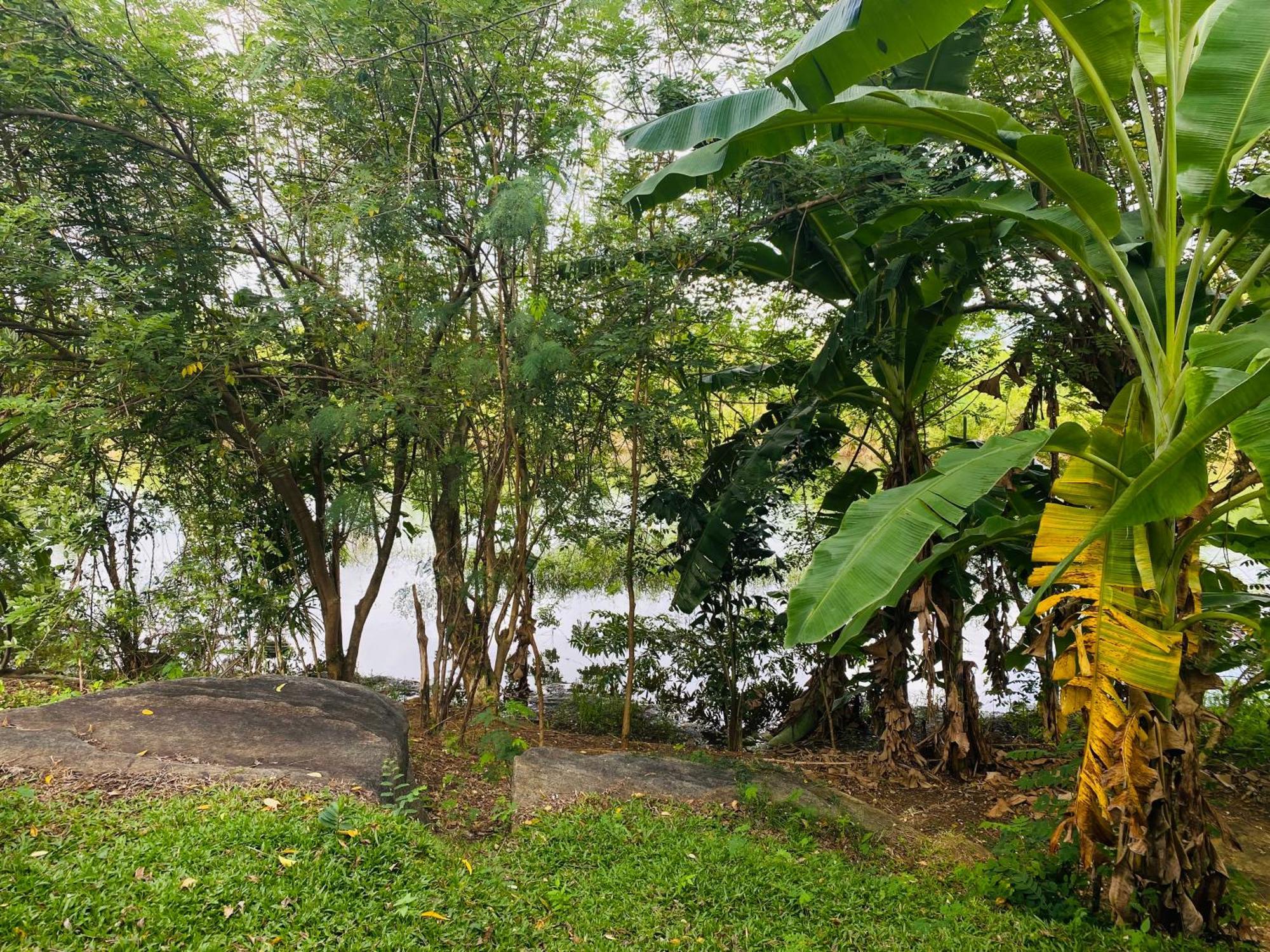 River Paradise Safari House With Cooking Class Udawalawe Exterior photo